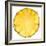 Pineapple Slice-Steve Gadomski-Framed Photographic Print