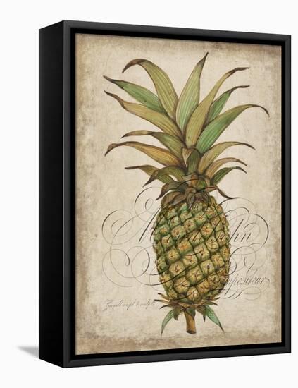 Pineapple Study I-Tim OToole-Framed Stretched Canvas