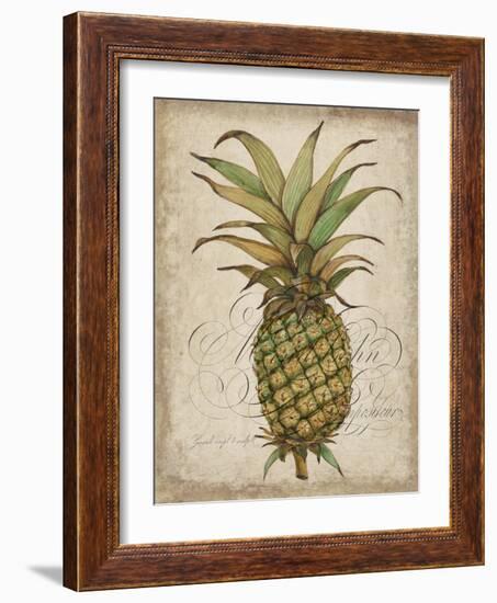 Pineapple Study I-Tim OToole-Framed Art Print