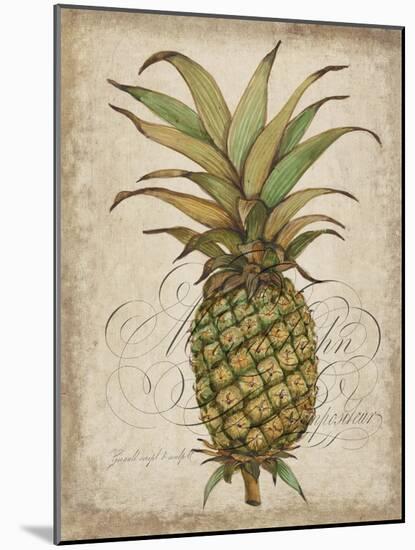 Pineapple Study I-Tim OToole-Mounted Art Print