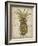 Pineapple Study I-Tim OToole-Framed Art Print