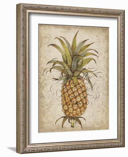 Pineapple Study II-Tim OToole-Framed Art Print