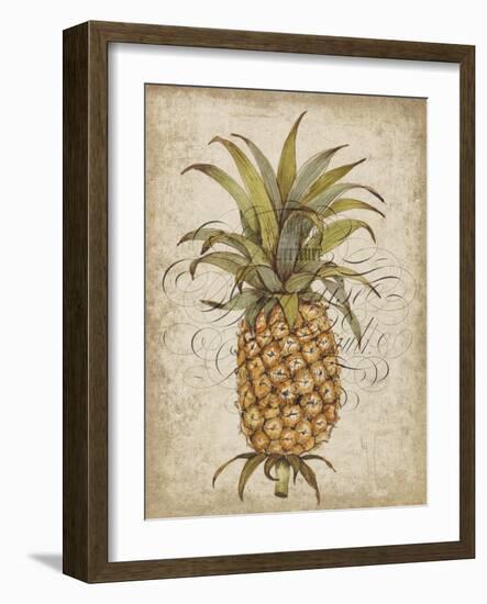 Pineapple Study II-Tim OToole-Framed Art Print