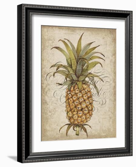 Pineapple Study II-Tim OToole-Framed Art Print