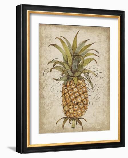 Pineapple Study II-Tim OToole-Framed Art Print