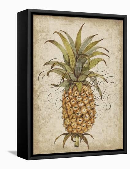 Pineapple Study II-Tim OToole-Framed Stretched Canvas