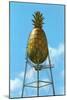 Pineapple Water Tower, Hawaii-null-Mounted Art Print