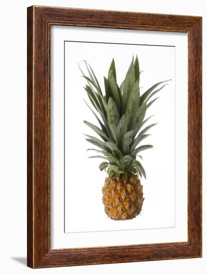 Pineapple-null-Framed Photographic Print