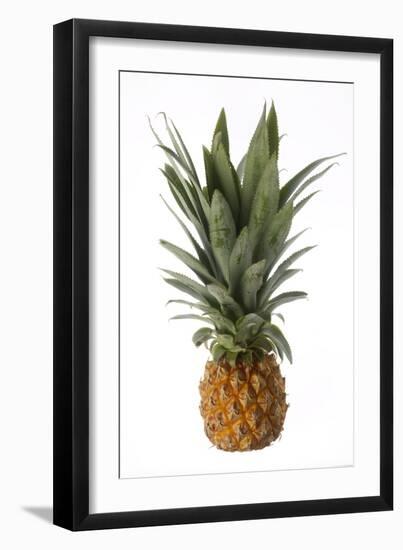 Pineapple-null-Framed Photographic Print