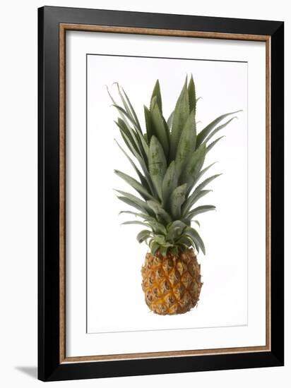 Pineapple-null-Framed Photographic Print