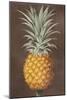 Pineapple-null-Mounted Giclee Print