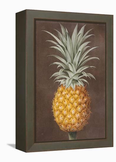Pineapple-null-Framed Premier Image Canvas