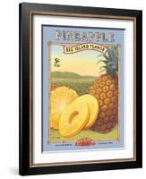 Pineapple-Kerne Erickson-Framed Art Print