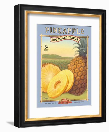 Pineapple-Kerne Erickson-Framed Art Print