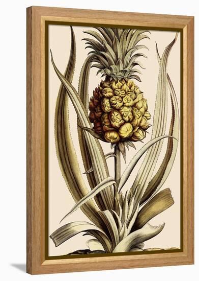 Pineapple-null-Framed Premier Image Canvas