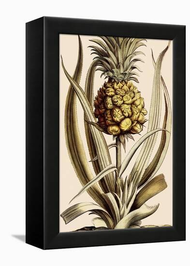 Pineapple-null-Framed Premier Image Canvas