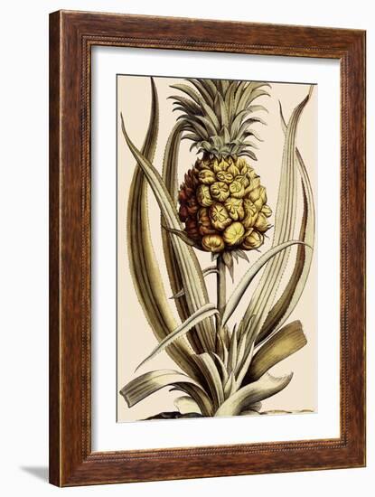 Pineapple-null-Framed Giclee Print