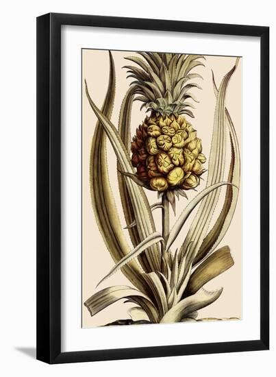 Pineapple-null-Framed Giclee Print