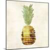Pineapple-Kristin Emery-Mounted Art Print