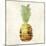 Pineapple-Kristin Emery-Mounted Art Print