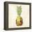 Pineapple-Kristin Emery-Framed Stretched Canvas