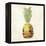 Pineapple-Kristin Emery-Framed Stretched Canvas