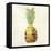 Pineapple-Kristin Emery-Framed Stretched Canvas