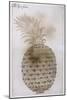 Pineapple-John White-Mounted Giclee Print