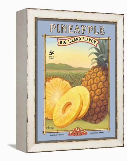 Pineapple-Kerne Erickson-Framed Stretched Canvas