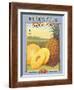 Pineapple-Kerne Erickson-Framed Art Print