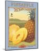 Pineapple-Kerne Erickson-Mounted Art Print