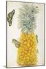 Pineapple-Maria Sibylla Merian-Mounted Art Print