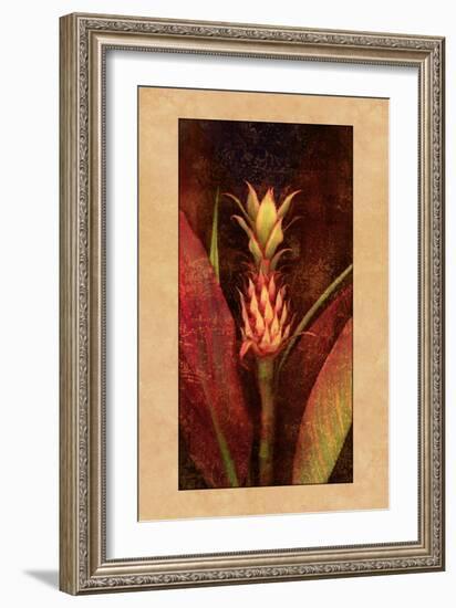 Pineapple-John Seba-Framed Art Print