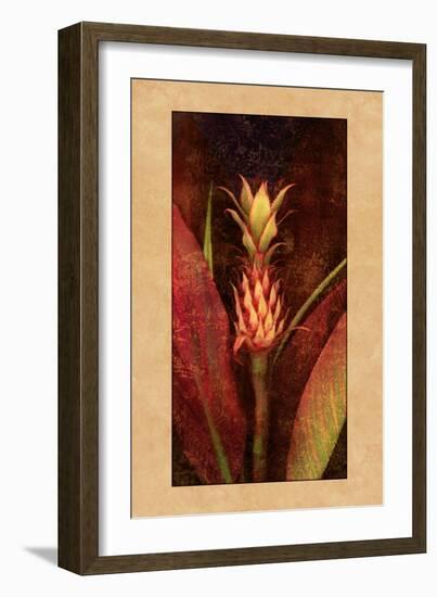 Pineapple-John Seba-Framed Art Print