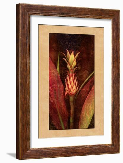 Pineapple-John Seba-Framed Art Print