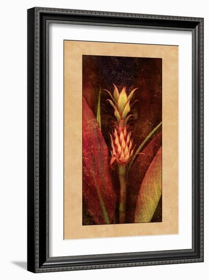 Pineapple-John Seba-Framed Art Print