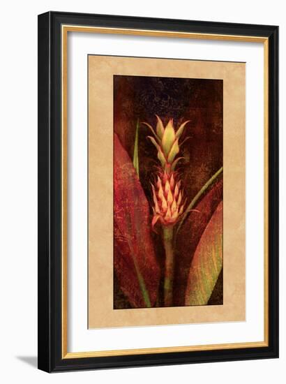 Pineapple-John Seba-Framed Art Print