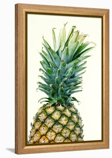 Pineapples, Detail, South-Fruit, Fruit, Collective-Fruit-Herbert Kehrer-Framed Premier Image Canvas