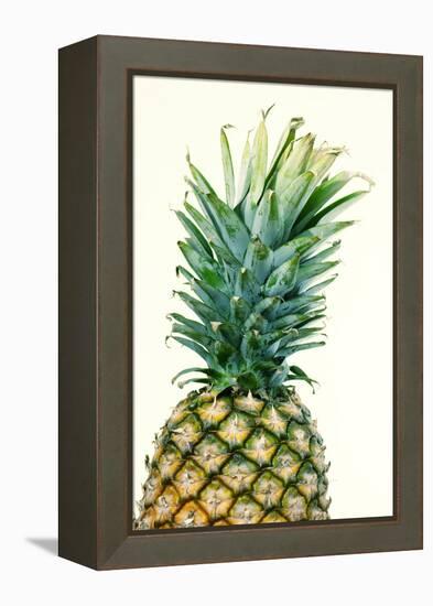 Pineapples, Detail, South-Fruit, Fruit, Collective-Fruit-Herbert Kehrer-Framed Premier Image Canvas