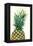 Pineapples, Detail, South-Fruit, Fruit, Collective-Fruit-Herbert Kehrer-Framed Premier Image Canvas