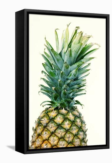 Pineapples, Detail, South-Fruit, Fruit, Collective-Fruit-Herbert Kehrer-Framed Premier Image Canvas