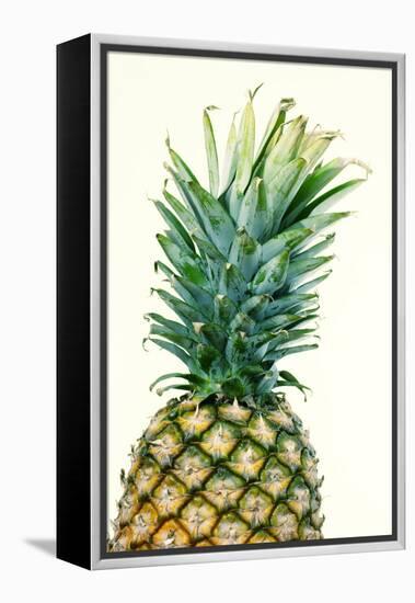 Pineapples, Detail, South-Fruit, Fruit, Collective-Fruit-Herbert Kehrer-Framed Premier Image Canvas