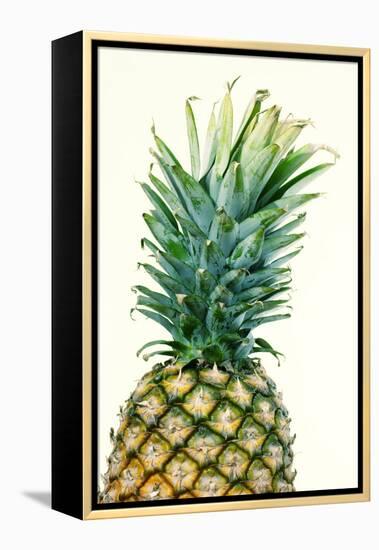 Pineapples, Detail, South-Fruit, Fruit, Collective-Fruit-Herbert Kehrer-Framed Premier Image Canvas