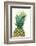 Pineapples, Detail, South-Fruit, Fruit, Collective-Fruit-Herbert Kehrer-Framed Photographic Print