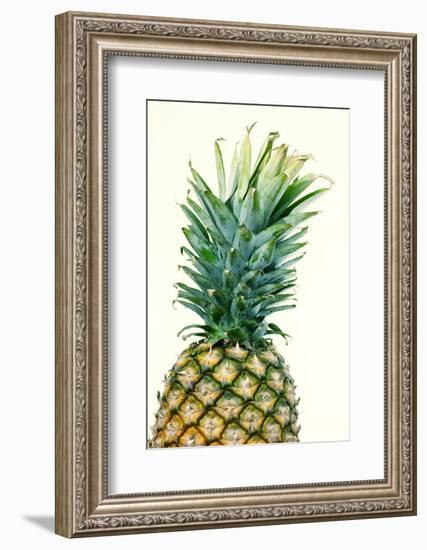 Pineapples, Detail, South-Fruit, Fruit, Collective-Fruit-Herbert Kehrer-Framed Photographic Print