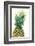 Pineapples, Detail, South-Fruit, Fruit, Collective-Fruit-Herbert Kehrer-Framed Photographic Print