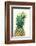 Pineapples, Detail, South-Fruit, Fruit, Collective-Fruit-Herbert Kehrer-Framed Photographic Print