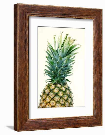 Pineapples, Detail, South-Fruit, Fruit, Collective-Fruit-Herbert Kehrer-Framed Photographic Print