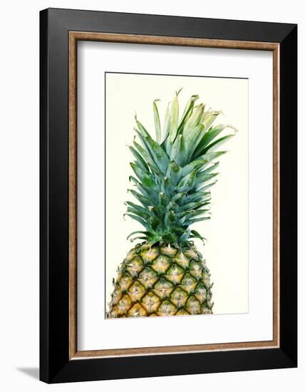 Pineapples, Detail, South-Fruit, Fruit, Collective-Fruit-Herbert Kehrer-Framed Photographic Print