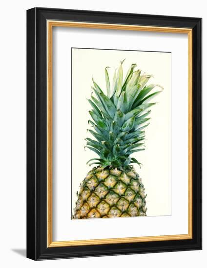 Pineapples, Detail, South-Fruit, Fruit, Collective-Fruit-Herbert Kehrer-Framed Photographic Print